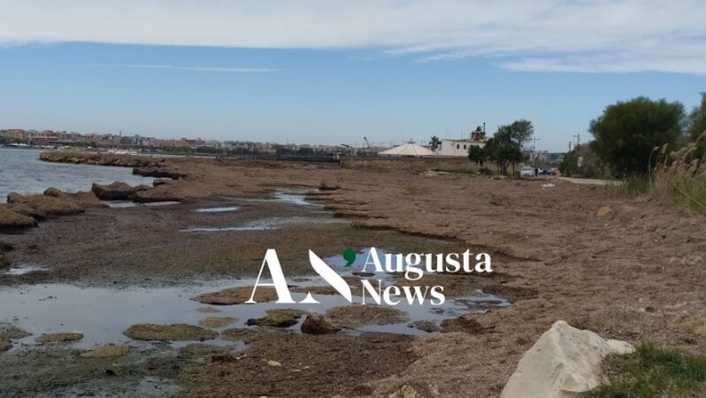 Augusta, spiaggia “contesa” del Granatello tra posidonia e concessione a privati