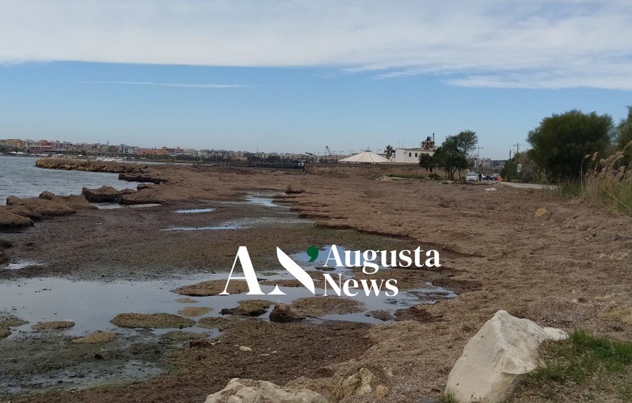 Augusta, spiaggia “contesa” del Granatello tra posidonia e concessione a privati